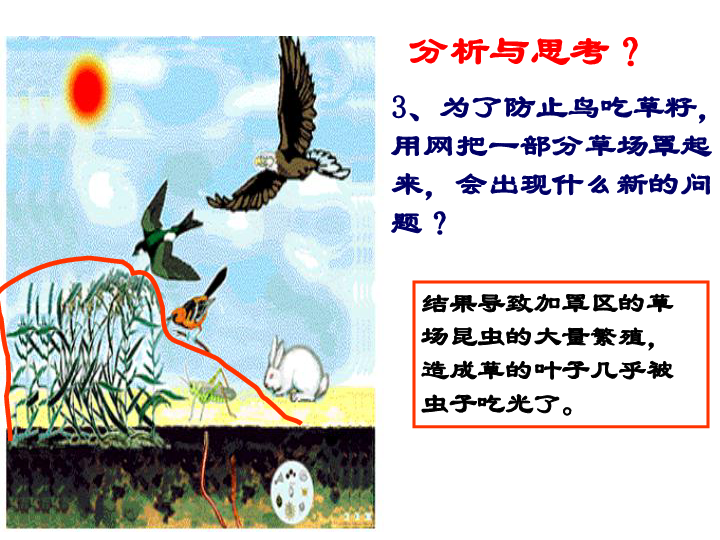 第2節 生態系統1[下學期]下載-科學-21世紀教育網