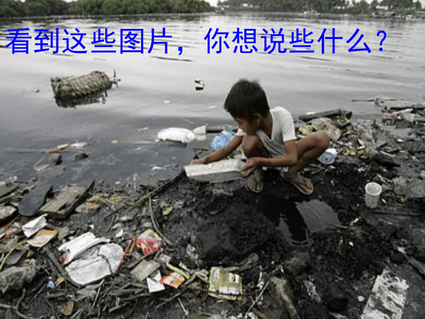 语文二年级下北京版6.24《蚯蚓垃圾处理厂》课件3