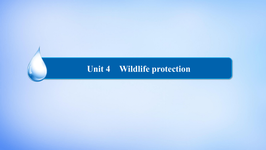 Unit 4 Wildlife Protection Learning about language 课件（32张）