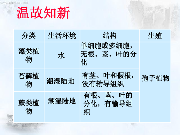 人教版生物七上3.1.2种子植物课件(共51张PPT)