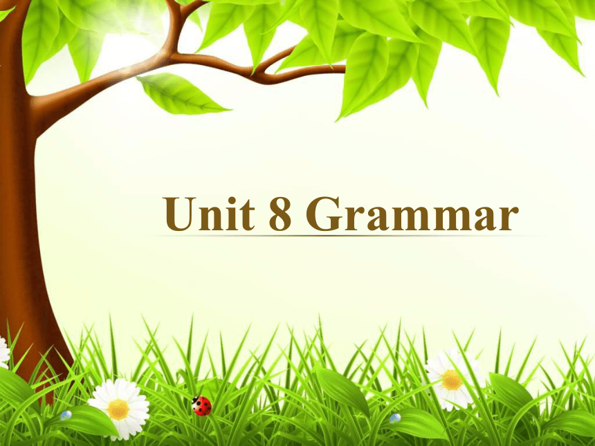 7B unit 8 Pets grammar课件