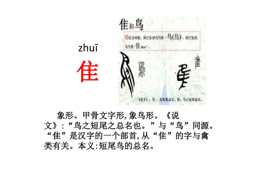 《拍手歌》 课件