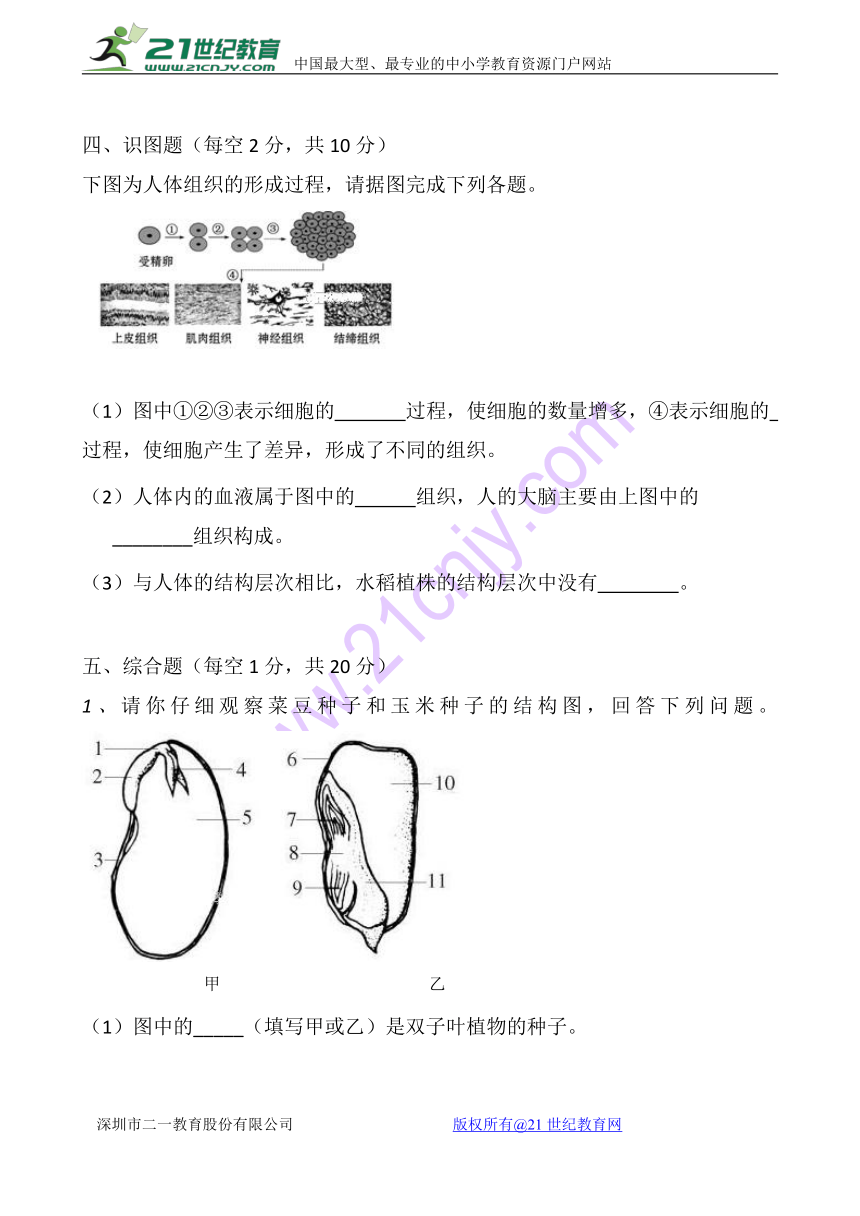 山西省大同市矿区2017-2018学年七年级上学期期末考试生物试卷