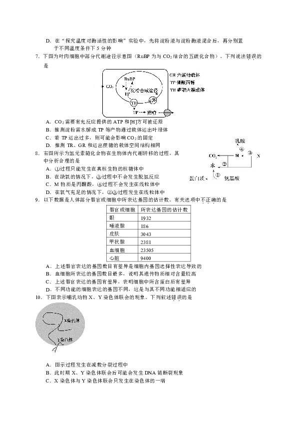 北京市朝阳区2019届高三上学期期中考试生物试题