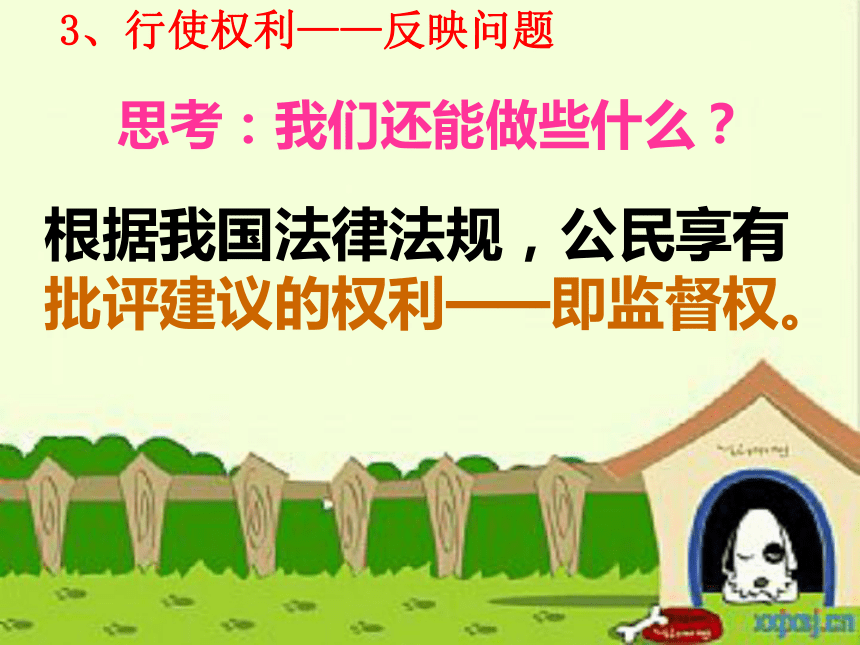 综合探究五 我是社会小主人（人教版七下）