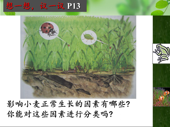 生物与环境的关系课件(共48张PPT)