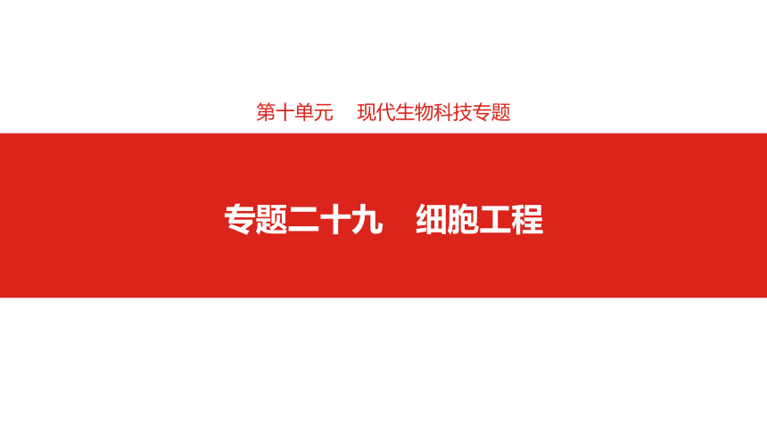 2019届高考生物一轮复习课件：第十单元专题二十九细胞工程 (共74张PPT)