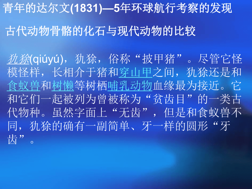 科学六年级下苏教版3.3达尔文和他的进化论课件5