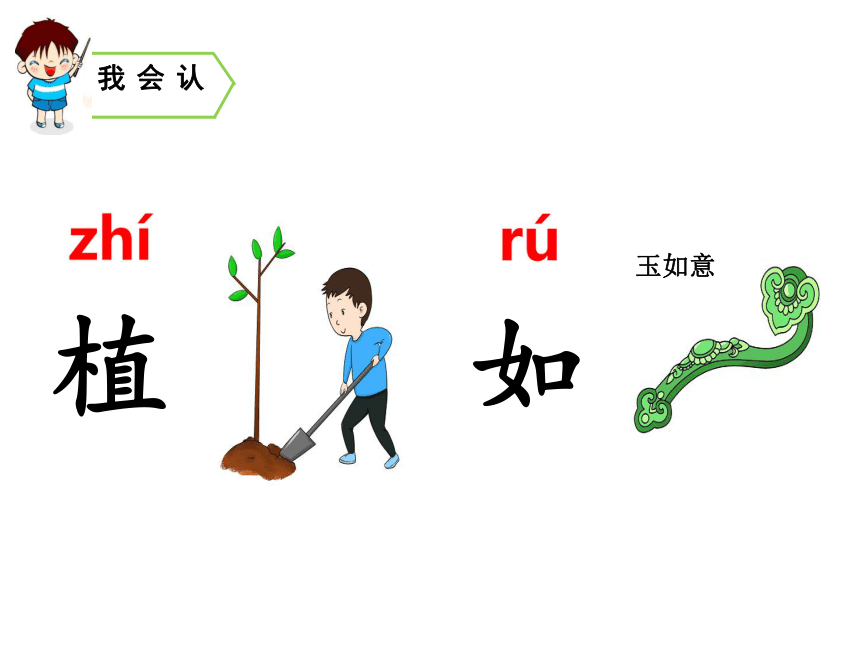 3 植物妈妈有办法  课件（50张PPT）