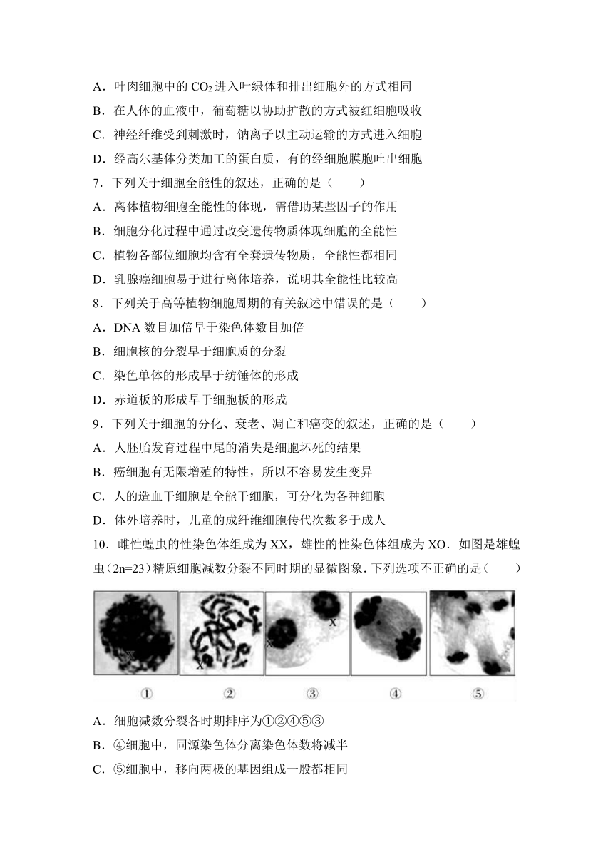 北京市大兴区2017届高三（上）期末生物试卷（解析版）