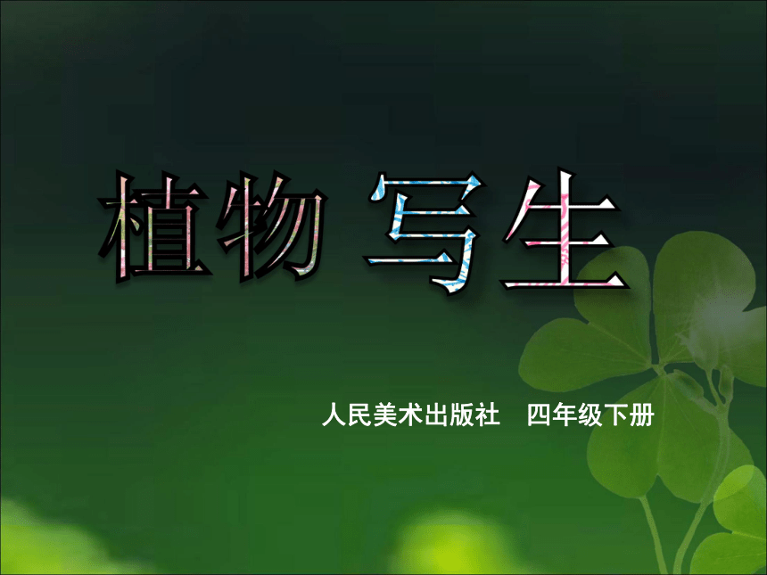 课件预览