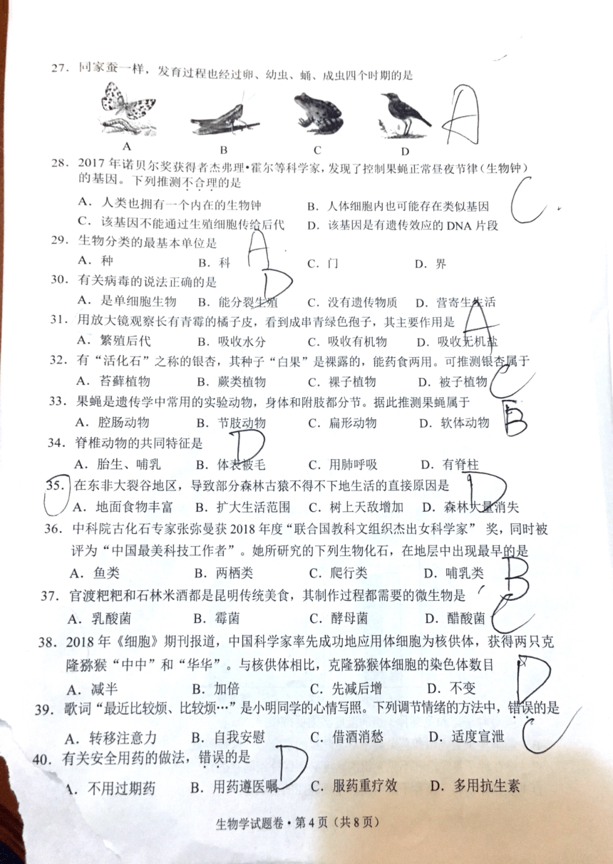 云南省昆明市2018年中考生物试卷（PDF版，含部分答案）