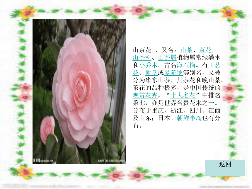 湘教版 六年级上册音乐 《2美丽的花儿》课件（10张PPT）