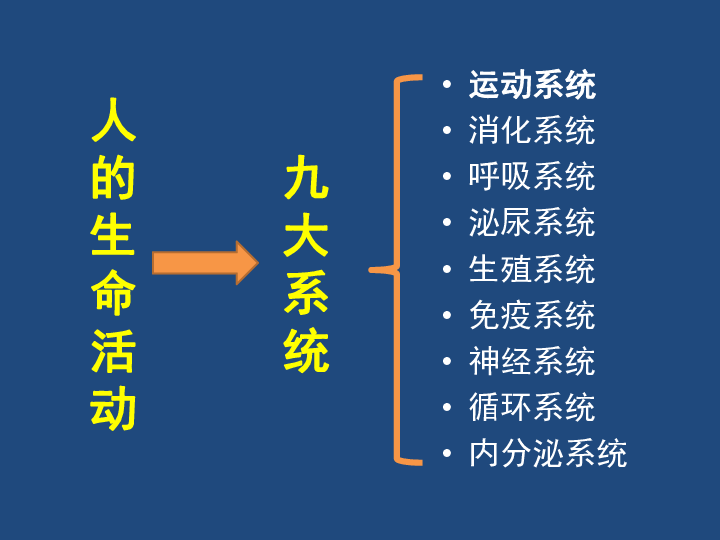 北师大版八上15.2动物运动的形成课件(共29张PPT)