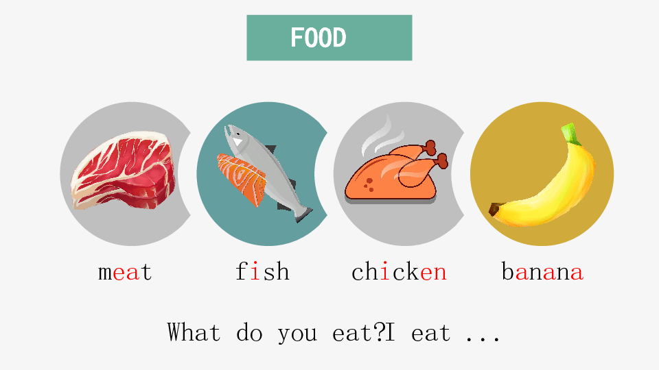 Lesson 11 What Do They Eat?课件（16张PPT）
