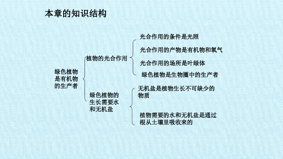 绿色植物思维导图七上图片