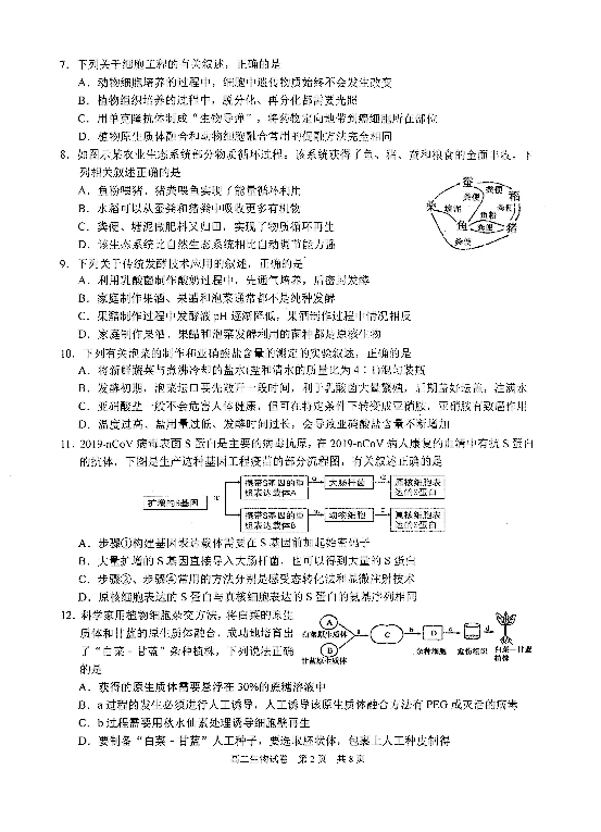 江苏省苏州市2019-2020学年高二下学期期中考试生物试题（PDF版）