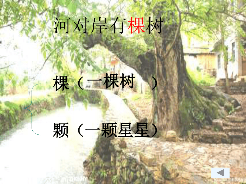 《比本领》公开课课件