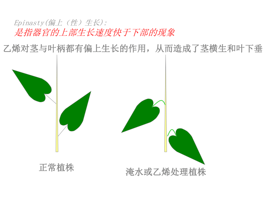 植物生长物质3