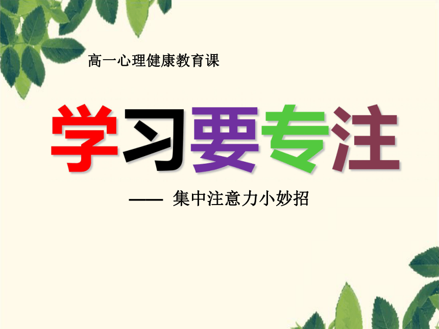 课件预览