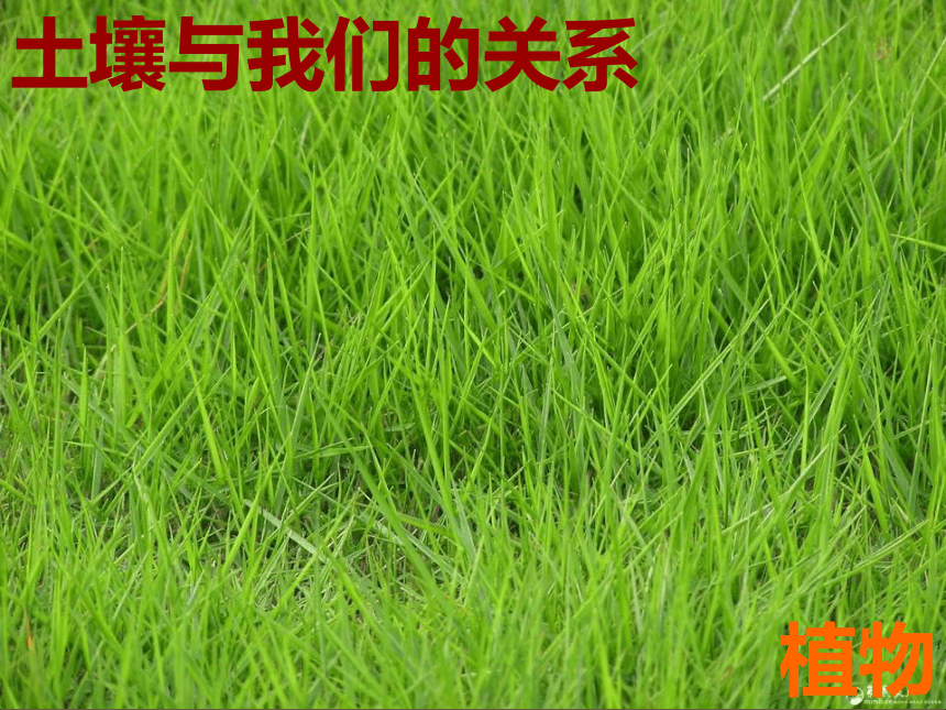 2016秋湘教版科学三上3.3《土壤的保护》ppt课件1