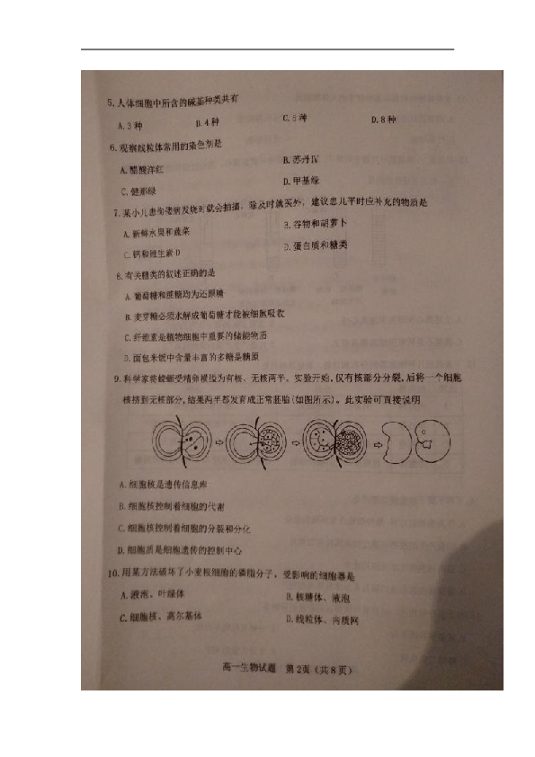 山西省晋中市2018-2019学年高一上学期期末调研测试生物试题扫描版