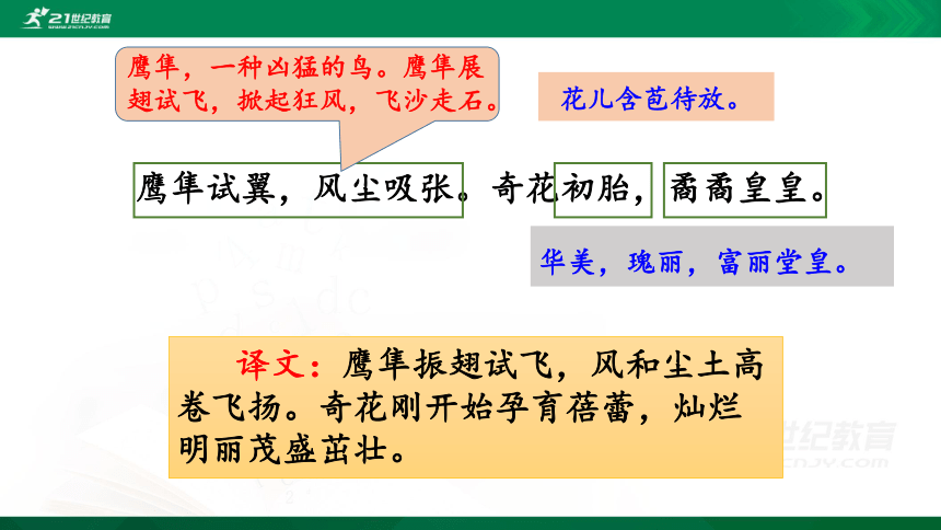 13少年中国说（节选）  第2课时 课件