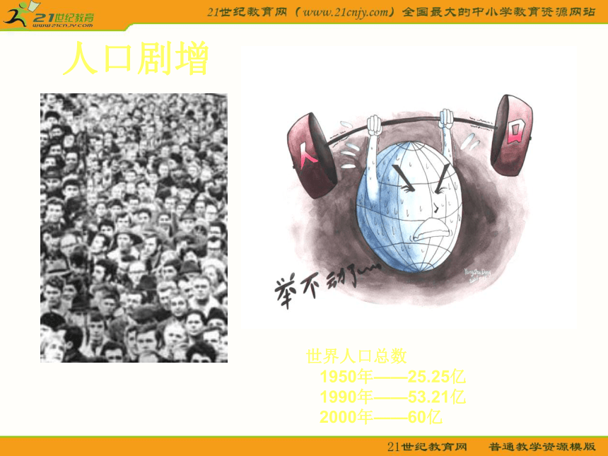 初中语文语文版八年级上册第五单元第19课：《海洋是未来的粮仓》课件