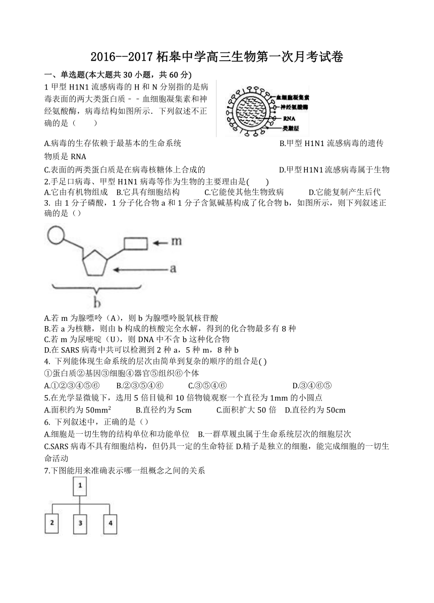 安徽省巢湖市柘皋中学2017届高三上学期第一次月考生物试题