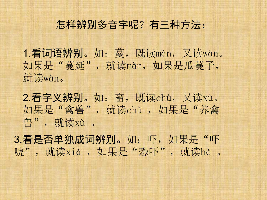 《区别多音字与同音字》课件