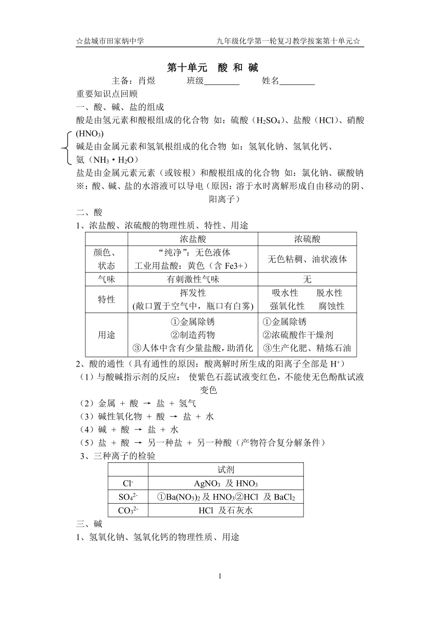 第一轮复习第十单元教学案[下学期]