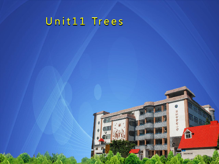 Module 4 Unit 11 Trees 课件 +素材（22张PPT）