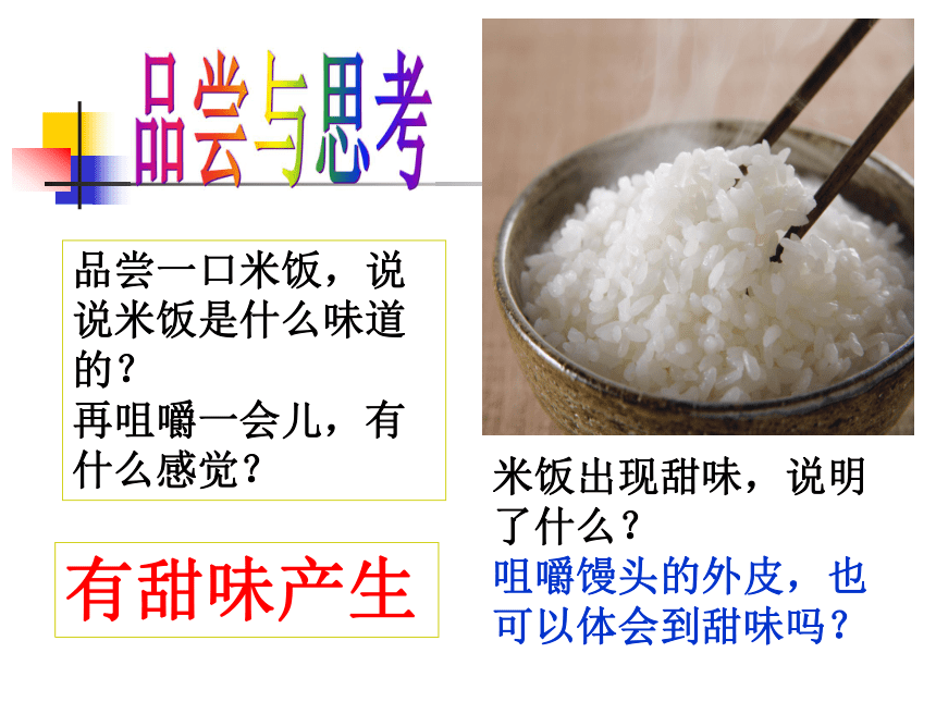2-3《米饭、淀粉和碘酒的变化》 课件