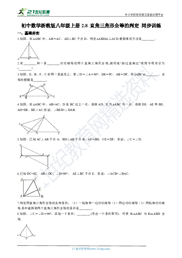 2.8 直角三角形全等的判定 同步训练（解析版）