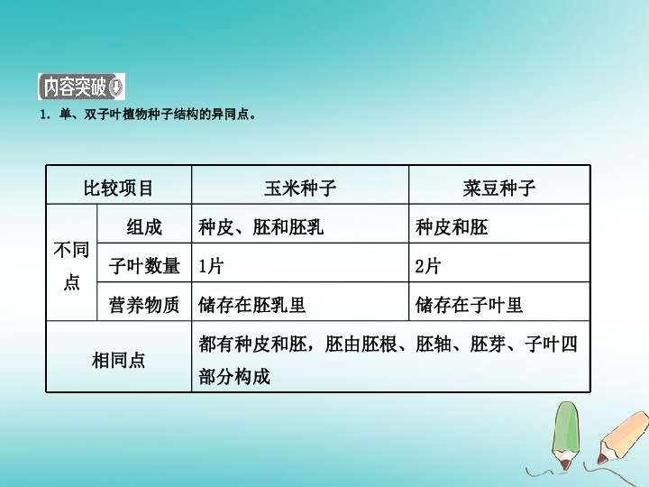 （济宁专版）2019年中考生物专题七复习课件（15张PPT）