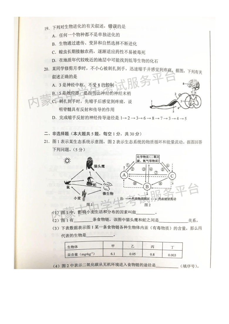 2020年内蒙古鄂尔多斯市中考生物试题（图片版，含答案）