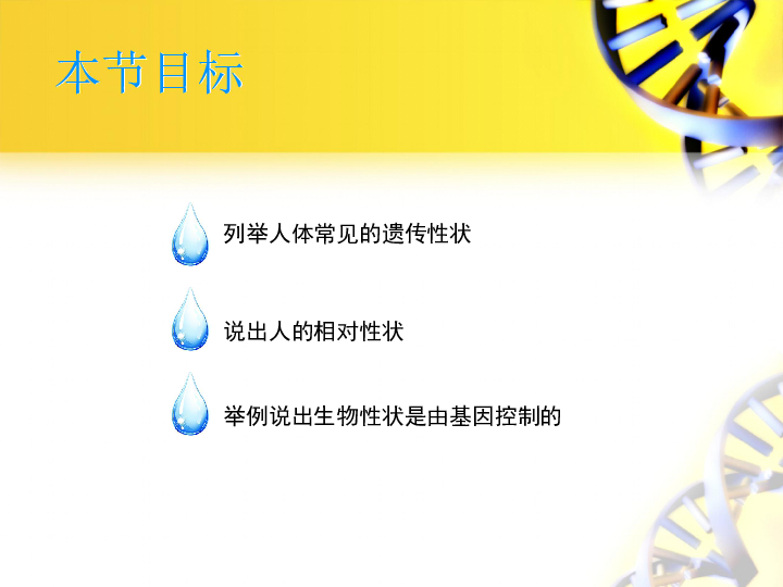 苏教版生物八年下 22.2人的性状和遗传课件（共34张PPT）