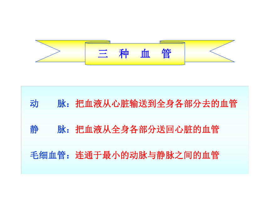 血流的管道──血管 (共32张PPT)