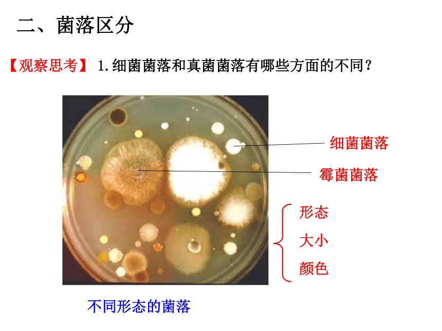 人教八上生物5.4.1 细菌和真菌的分布 课件（33张ppt）