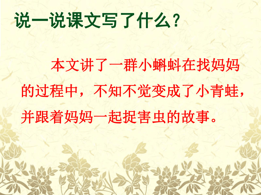 部編版小學語文二年級上冊課文1小蝌蚪找媽媽課件31張