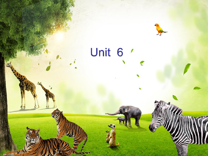 Unit 6 The Animal Kingdom Lesson 18 An Animal Story课件 (共31张PPT)