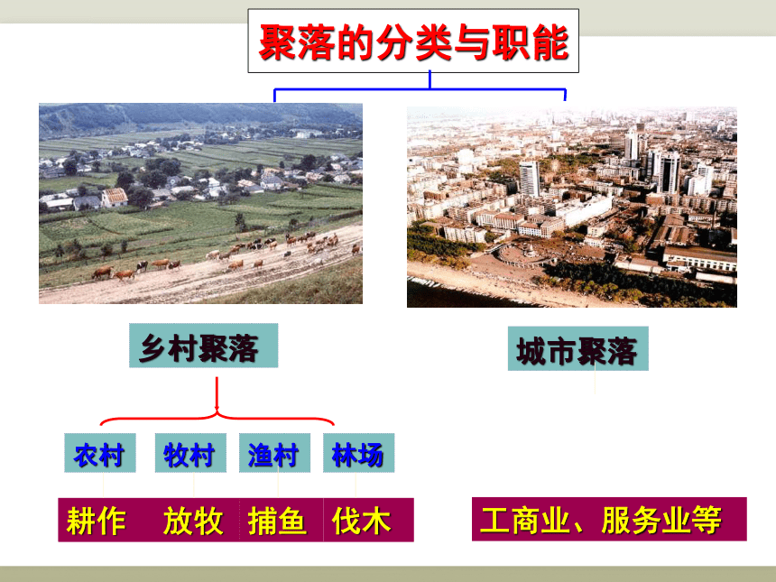 中图版八年级地理上册课件：第三章第三节　聚落 （共30张PPT）