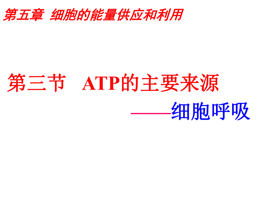 必修1第五章 第三节 ATP的主要来源——细胞呼吸（修改）