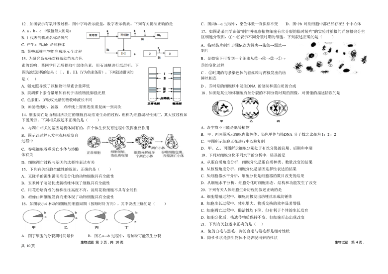 重庆市凤鸣山高级中学校2020-2021学年高一下学期期中考试生物试题 Word版含答案