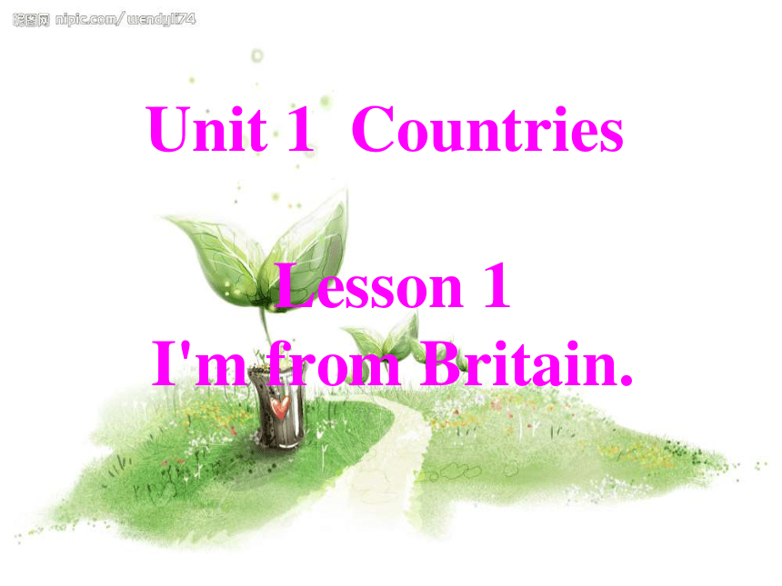 Unit 1  Countries  Lesson 1 课件
