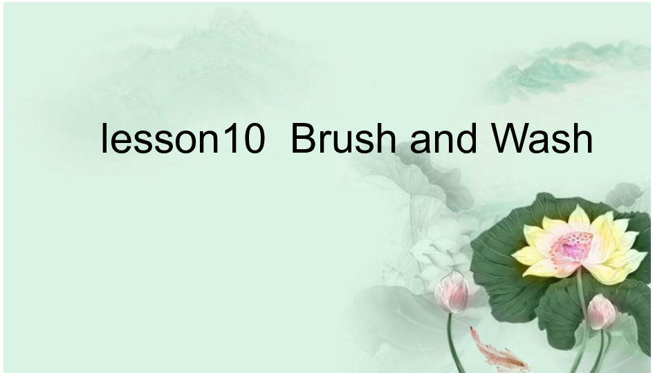 Lesson 10  Brush and Wash 课件 17张ppt