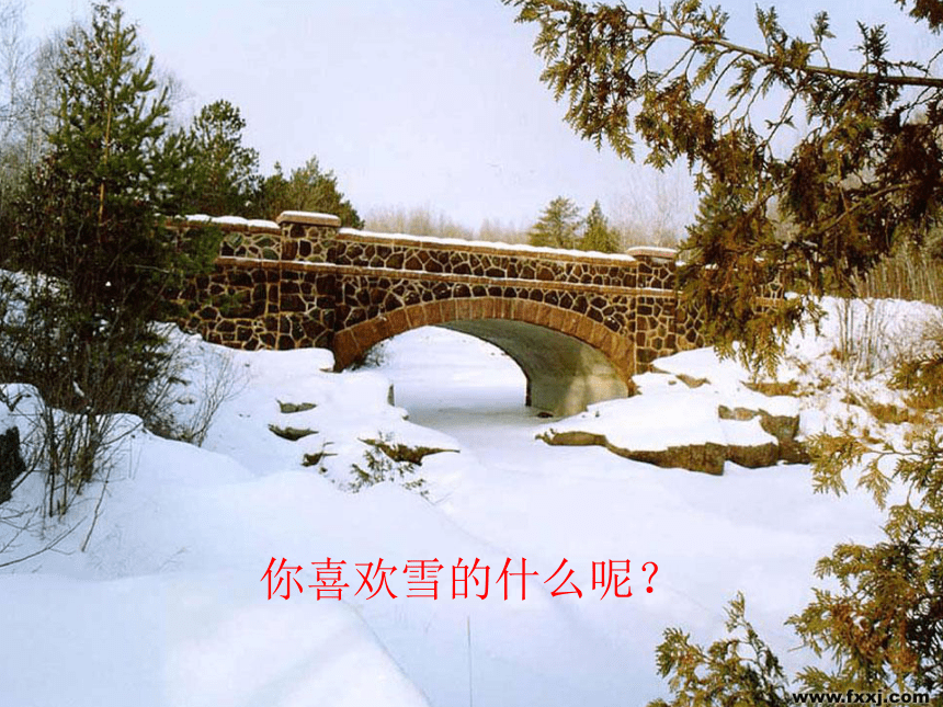 八年级语文下册_鲁迅的散文诗《雪》课件_人教新课标版