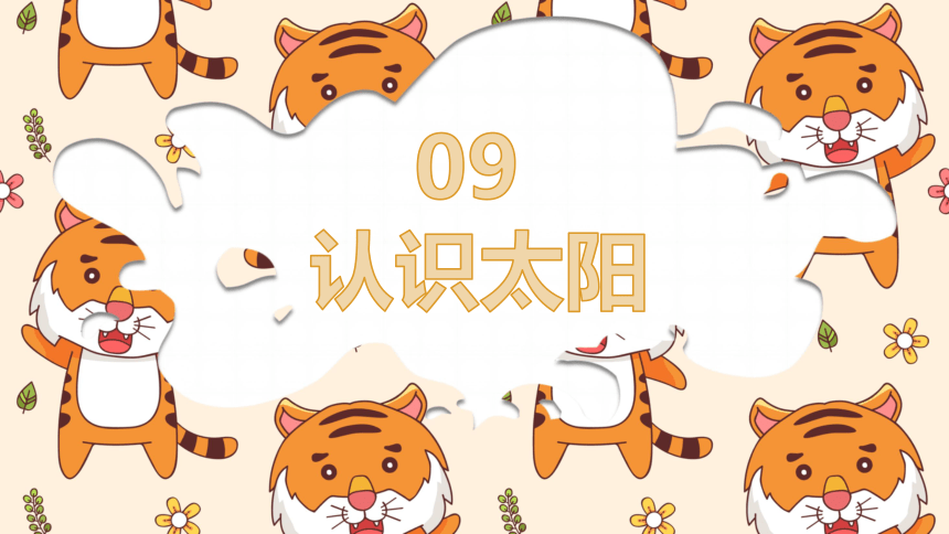 课件预览