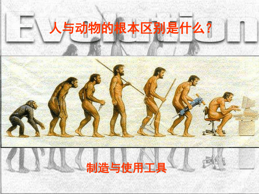 第1课中国早期人类的代表——北京人