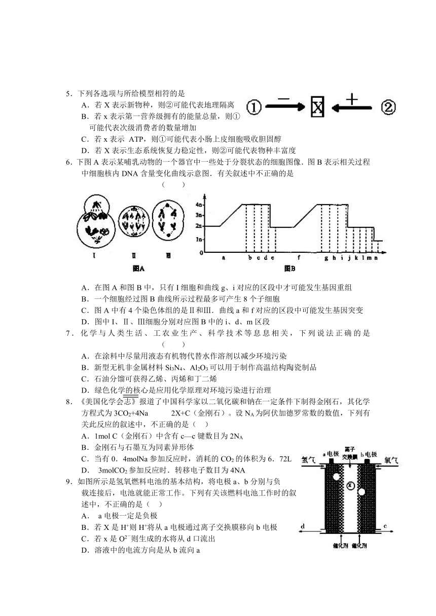 安徽省池州市2013届高三上学期期末理综试题